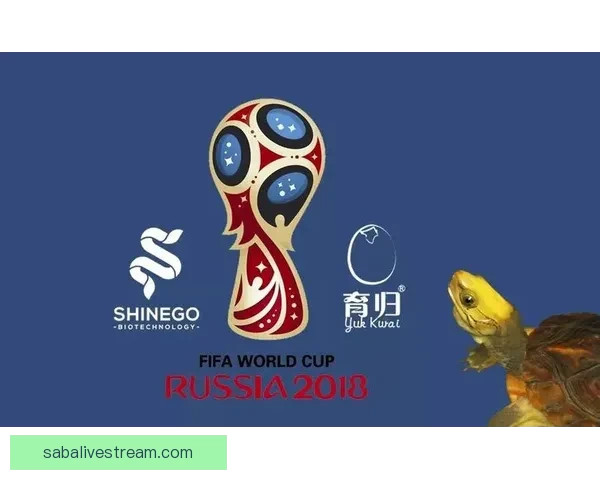 世界杯胜负预测分析全面指南助你精准竞猜投注技巧